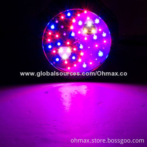 LED Indoor Grow Light, 50W, Full Spectrum for Greenhouse/Hydroponic Plants Growth, No Fans, No Noise